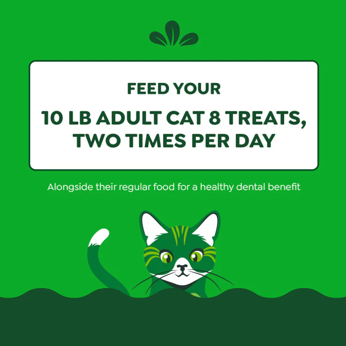 FELINE GREENIES Adult Dental Cat Treats, Oven Roasted Chicken Flavor, 9.75 oz. Tub - Image 8