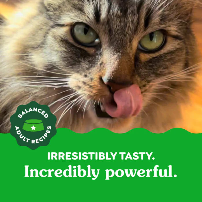 FELINE GREENIES Adult Dental Cat Treats, Tempting Tuna Flavor, 9.75 oz. Tub - Image 4