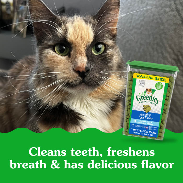 FELINE GREENIES Adult Dental Cat Treats, Tempting Tuna Flavor, 9.75 oz. Tub - Image 5