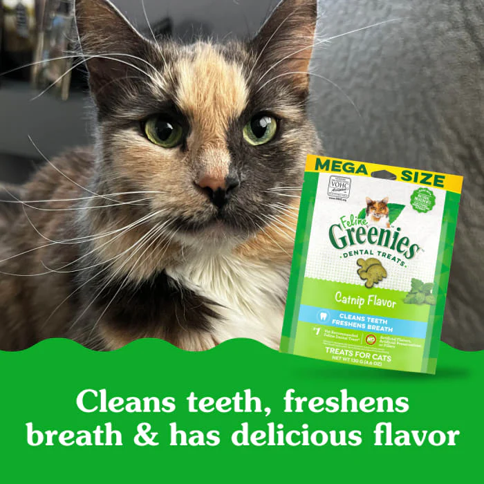 FELINE GREENIES Adult Natural Dental Care Cat Treats, Catnip Flavor, 4.6 oz. Pouch - Image 5