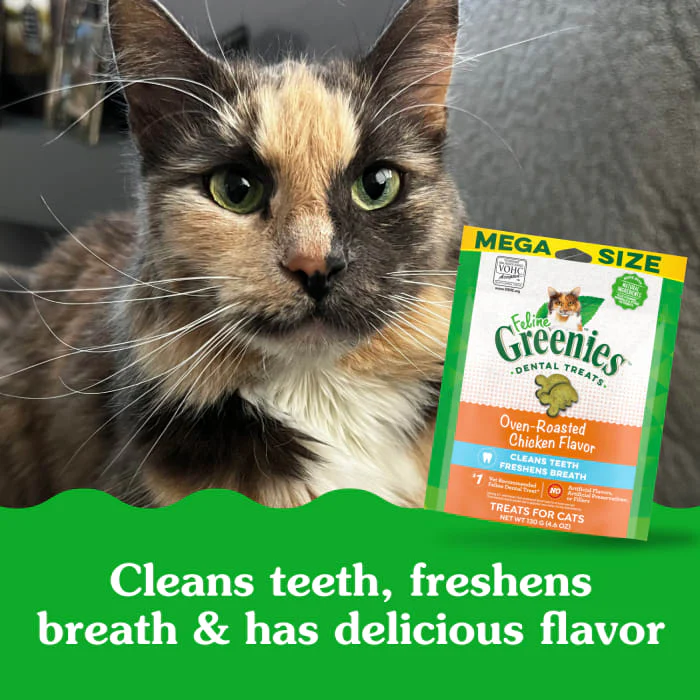 FELINE GREENIES Adult Natural Dental Care Cat Treats, Oven Roasted Chicken Flavor, 4.6 oz. Pouch - Image 5