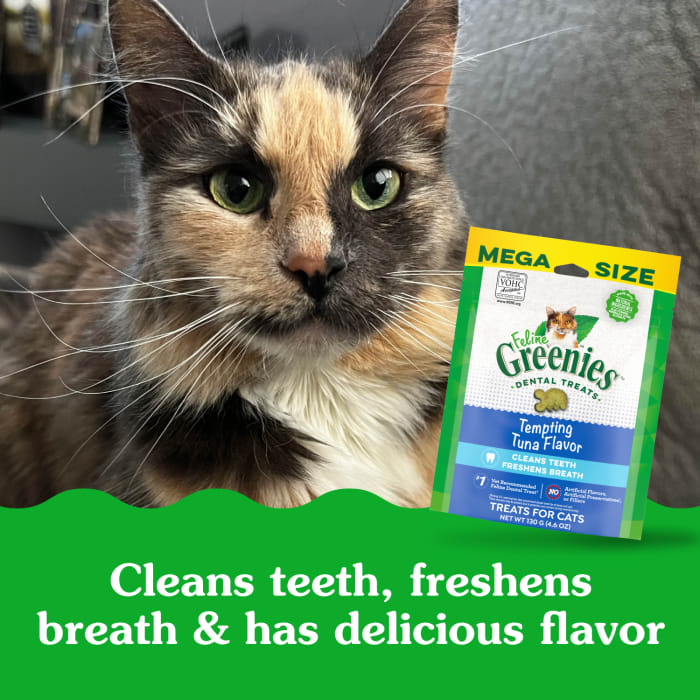 FELINE GREENIES Adult Dental Cat Treats, Tempting Tuna Flavor, 4.6 oz. Pouch - Image 5