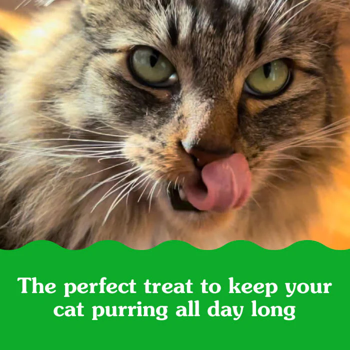 FELINE GREENIES SMARTBITES HEALTHY INDOOR Natural Treats for Cats, Tuna Flavor, 16 oz. Tub - Image 7