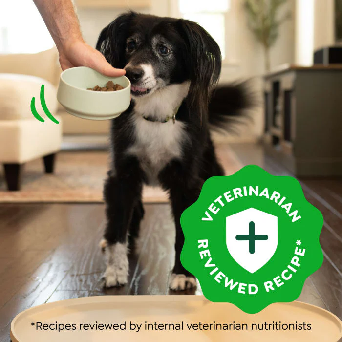 Greenies Smart Essentials Adult High Protein Dry Dog Food Real Chicken & Rice Recipe, 15 lb. Bag - Image 5