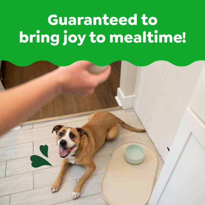 Greenies Smart Essentials Adult High Protein Dry Dog Food Real Chicken & Rice Recipe, 6 lb. Bag - Image 4