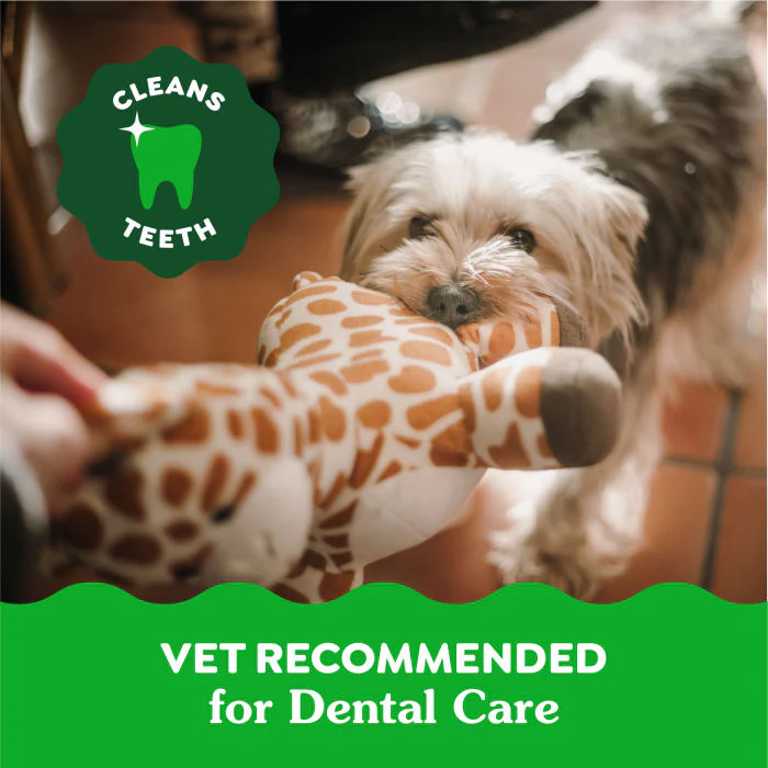 GREENIES Aging Care Large Natural Dog Dental Care Chews Oral Health Dog Treats, 27 oz. Pack (17 Treats) - Image 6