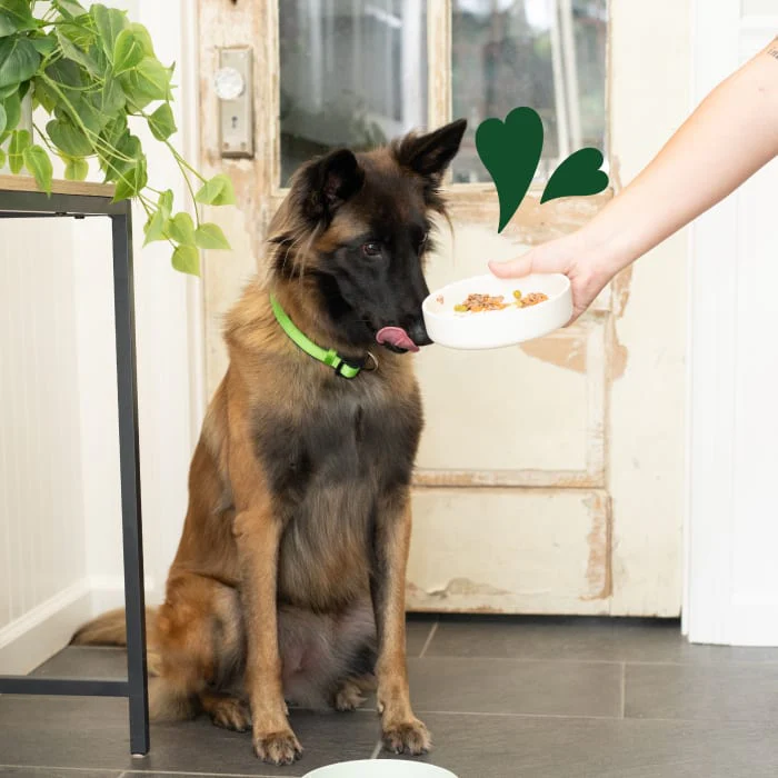 Greenies Smart Topper Wet Mix-In for Dogs, Beef, Peas & Carrots Recipe, 2 oz. Tray - Image 5