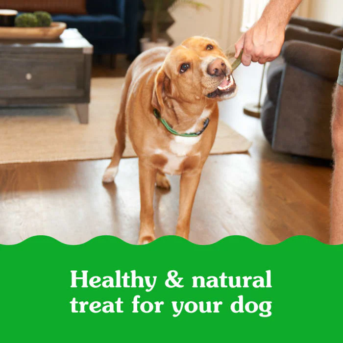 GREENIES SMARTBITES Immune Support Crunchy & Soft Dog Treats, Chicken Flavor, 28 oz. Pack - Image 4