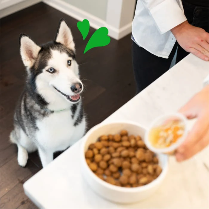 Greenies Smart Topper Wet Mix-In for Dogs, Chicken with Peas & Duck Variety Pack, 8 Trays of 2 oz. - Image 6