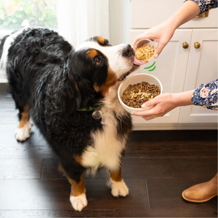 Greenies Smart Topper Wet Mix-In for Dogs, Chicken, Green Beans & Sweet Potatoes Recipe, 2 oz. Tray - Image 5