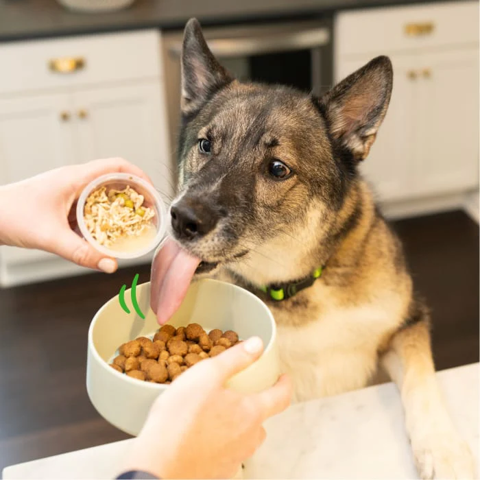 Greenies Smart Topper Wet Mix-In for Dogs, Chicken, Peas, Apples & Brown Rice Recipe, 2 oz. Tray - Image 5