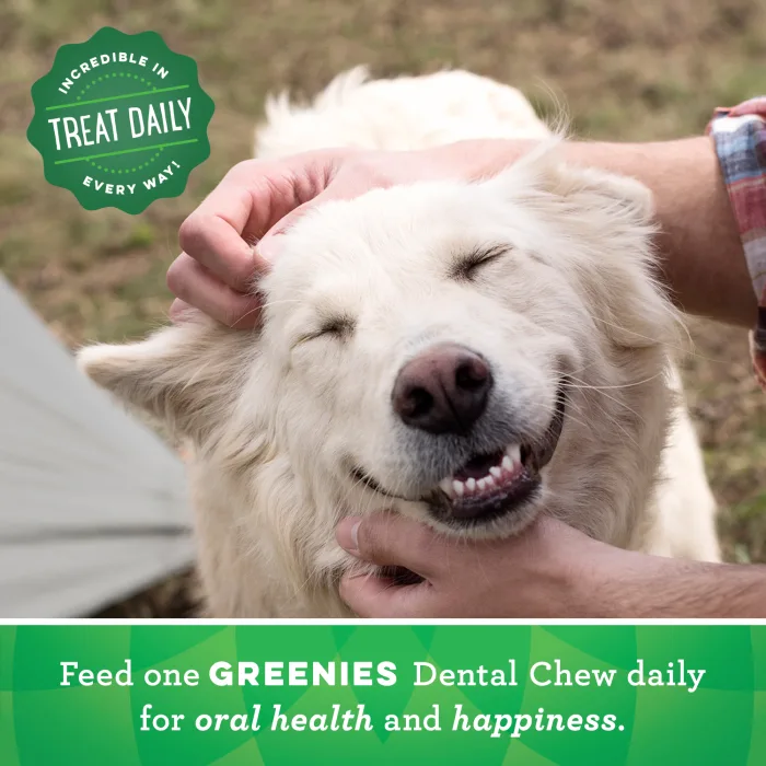 GREENIES Gingerbread Large Dental Treats, 12 oz. - Image 8