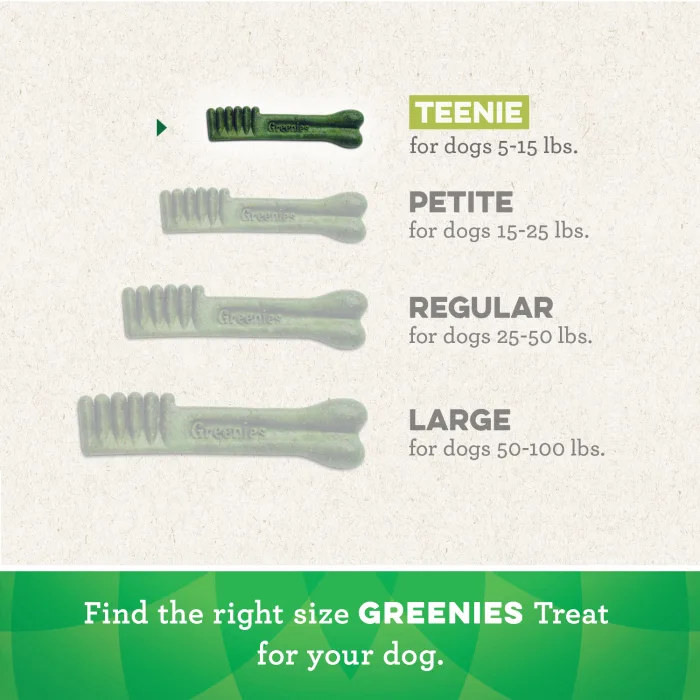 GREENIES Gingerbread TEENIE Dental Treats, 12 oz. - Image 6