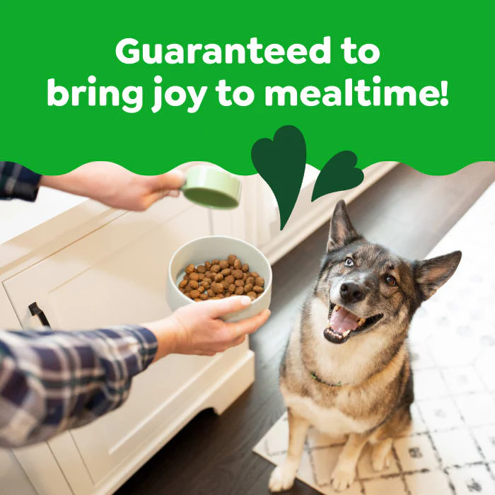 Greenies Smart Essentials Adult Large Breed High Protein Dry Dog Food Real Chicken & Rice Recipe, 15 lb. Bag - Image 4