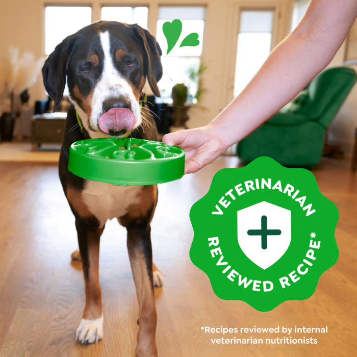 Greenies Smart Essentials Adult Large Breed High Protein Dry Dog Food Real Chicken & Rice Recipe, 15 lb. Bag - Image 5