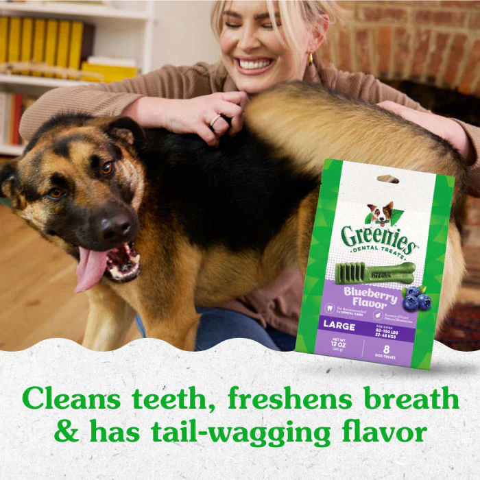 GREENIES Large Natural Dog Dental Care Chews Oral Health Dog Treats Blueberry Flavor, 12 oz. Pack (8 Treats) - Image 4
