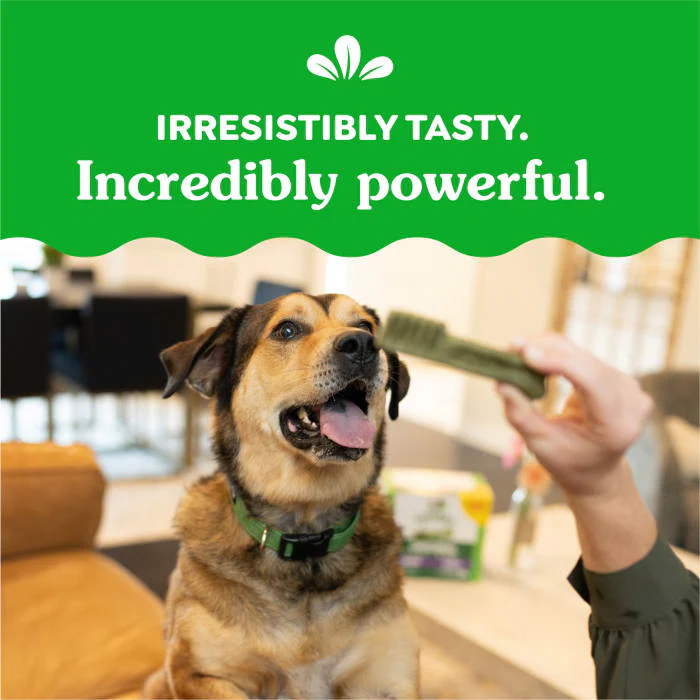 GREENIES Original Large Natural Dental Care Dog Treats, 6 oz. Pack (4 Treats) - Image 7