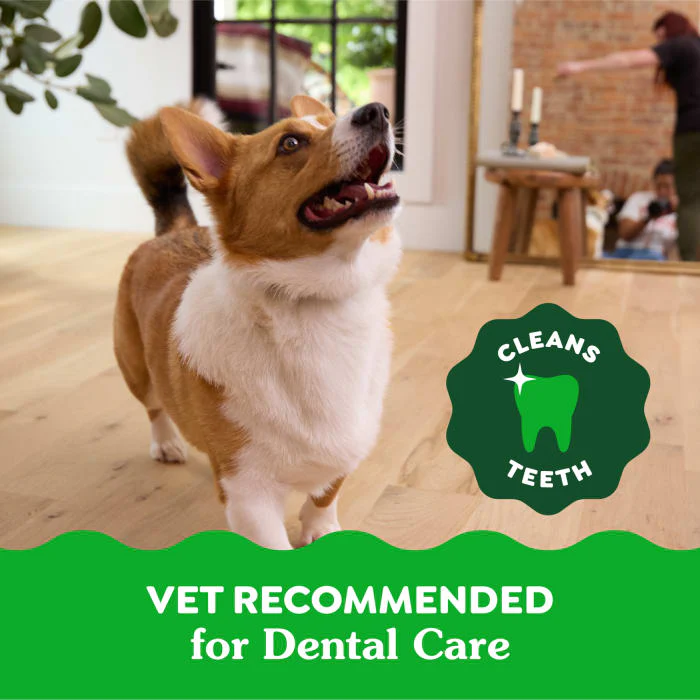 GREENIES Original Petite Natural Dental Care Dog Treats, 6 oz. Pack (10 Treats) - Image 5