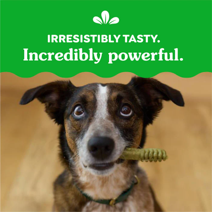 Greenies Natural Dental Care Dog Treats Regular Size, 36 oz. Variety Pack, 3 Flavors - Image 7