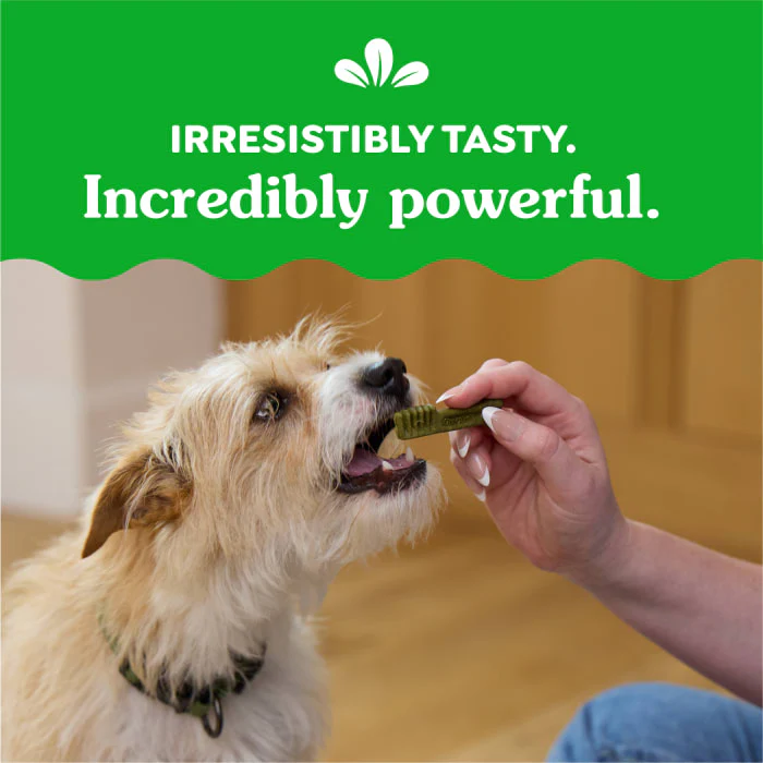 GREENIES Original TEENIE Natural Dental Care Dog Treats, 6 oz. Pack (22 Treats) - Image 7