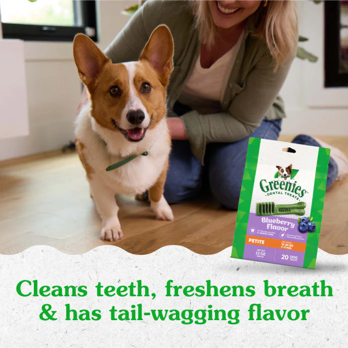 GREENIES Petite Natural Dog Dental Care Chews Oral Health Dog Treats Blueberry Flavor, 12 oz. Pack (20 Treats) - Image 4