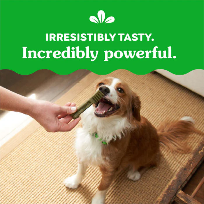 GREENIES Petite Natural Dog Dental Care Chews Oral Health Dog Treats Blueberry Flavor, 12 oz. Pack (20 Treats) - Image 7