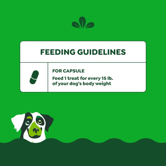 Greenies Pill Pockets for Dogs Large, Capsule Size Dog Treats, Cheese Flavor, 15.8 oz., 60 Pack - Image 9