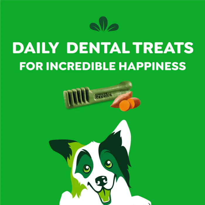 GREENIES Regular Natural Dog Dental Treats, Sweet Potato Flavor, 12 oz. Pack (12 Treats) - Image 9