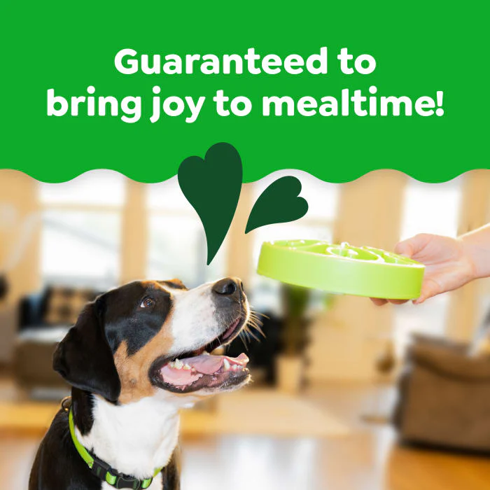 Greenies Smart Essentials Sensitive Digestion & Skin Adult Dry Dog Food Real Lamb & Brown Rice Recipe, 30 lb. Bag - Image 5