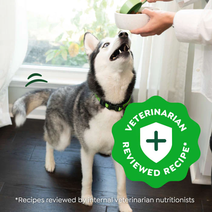 Greenies Smart Essentials Sensitive Digestion & Skin Adult Dry Dog Food Real Lamb & Brown Rice Recipe, 6 lb. Bag - Image 4