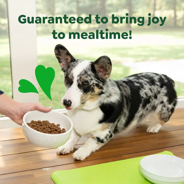 Greenies Smart Essentials Small Breed Adult High Protein Dry Dog Food Real Chicken & Rice Recipe, 13.5 lb. Bag - Image 5