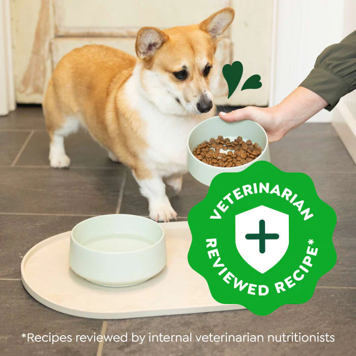 Greenies Smart Essentials Small Breed Adult High Protein Dry Dog Food Real Chicken & Rice Recipe, 27 lb. Bag - Image 4