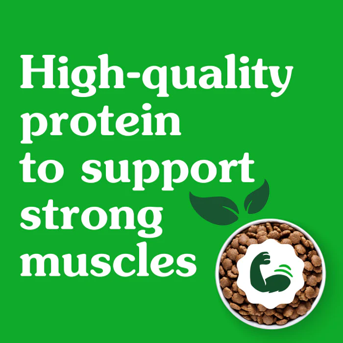 Greenies Smart Essentials Small Breed Adult High Protein Dry Dog Food Real Chicken & Rice Recipe, 5.5 lb. Bag - Image 7