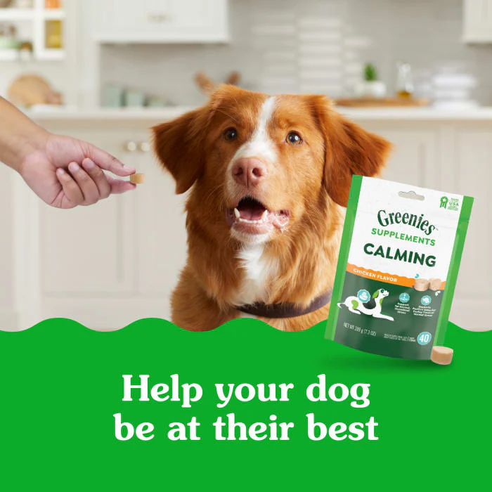 Greenies Supplements Calming Chews for Dogs Chicken Flavor, 7.3 oz. Container of 40 ct. Soft Chews - Image 4