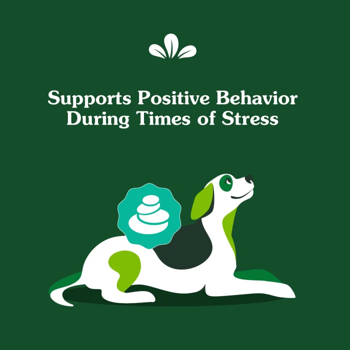 Greenies Supplements Calming Chews for Dogs Chicken Flavor, 7.3 oz. Container of 40 ct. Soft Chews - Image 5