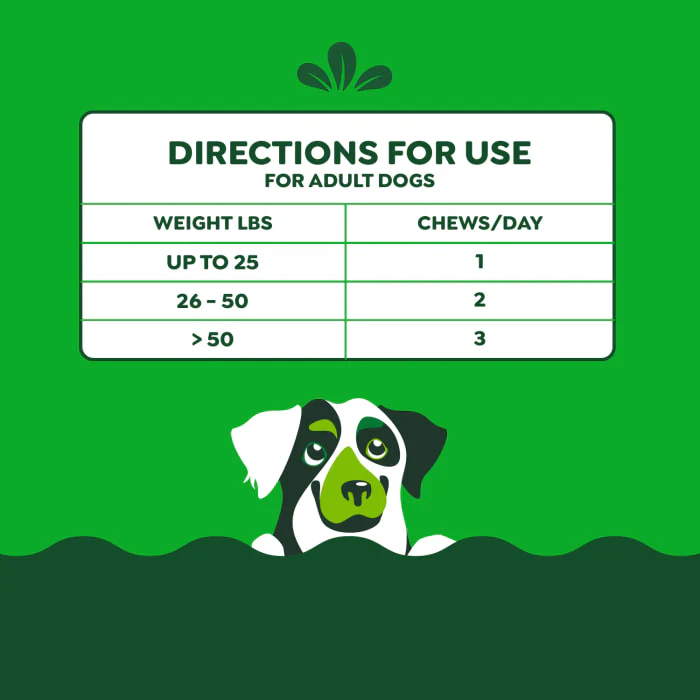 Greenies Supplements Digestive Health with Probiotics for Dogs Chicken Flavor, 7.8 oz. Pouch of 40 ct. Chews - Image 9