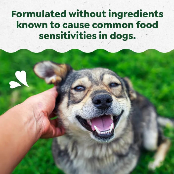 Greenies Skin and Coat Sensitive Care Supplement for Dogs, Peanut Butter Flavor, 40 Count Pouch - Image 4
