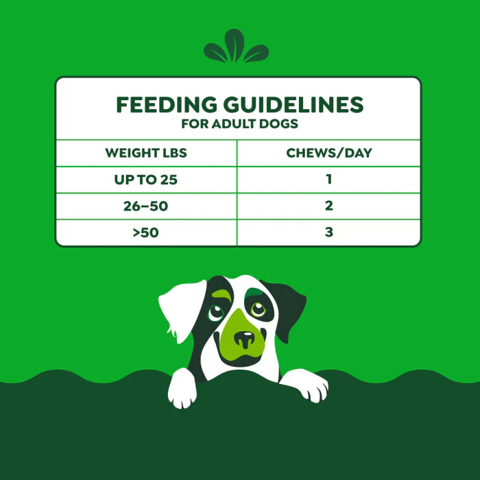 Greenies Skin and Coat Sensitive Care Supplement for Dogs, Peanut Butter Flavor, 40 Count Pouch - Image 8
