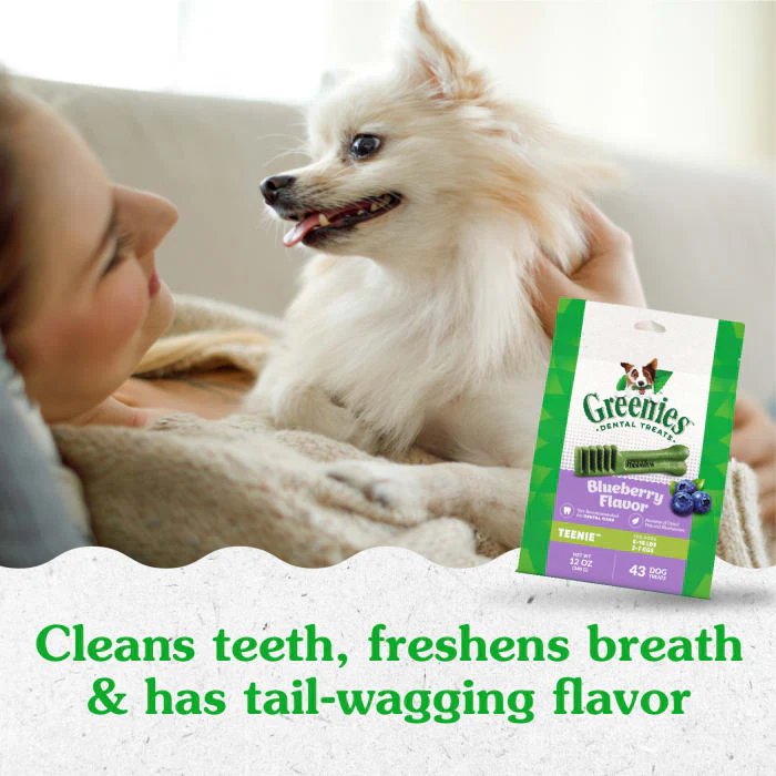 GREENIES TEENIE Natural Dog Dental Care Chews Oral Health Dog Treats Blueberry Flavor, 12 oz. Pack (43 Treats) - Image 4