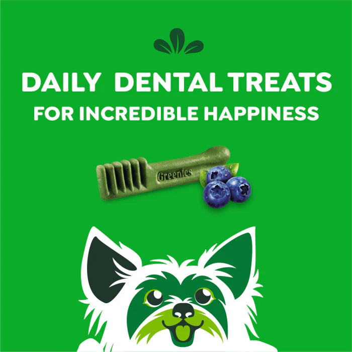 GREENIES TEENIE Natural Dog Dental Care Chews Oral Health Dog Treats Blueberry Flavor, 12 oz. Pack (43 Treats) - Image 9