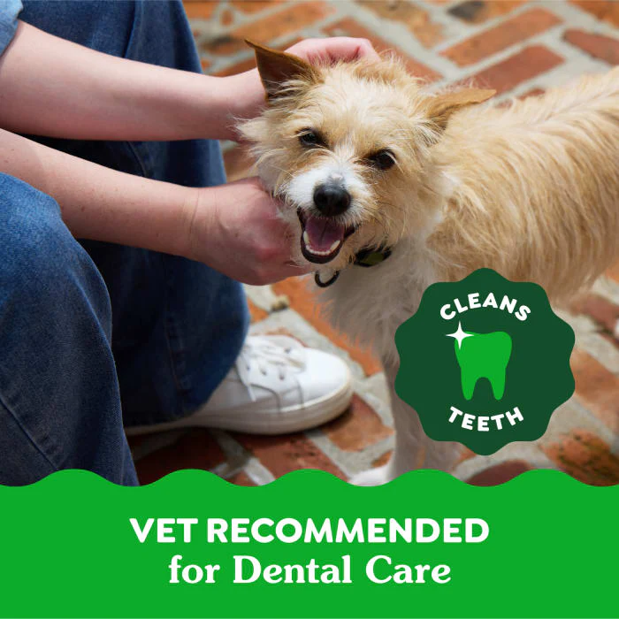 GREENIES TEENIE Natural Dog Dental Care Chews Oral Health Dog Treats Fresh Flavor, 12 oz. Pack (43 Treats) - Image 5