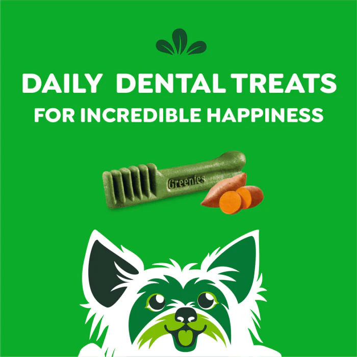 GREENIES TEENIE Natural Dog Dental Treats, Sweet Potato Flavor, 12 oz. Pack (43 Treats) - Image 9